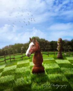 Photomontage représentant un cavalier d'un jeu d'échec avec une vrai tête de cheval dans une prairie